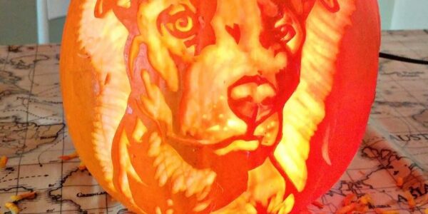 Pumpkin-Carving-Professional-Dog-Portrait