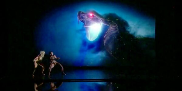 Snake-Video-Projection