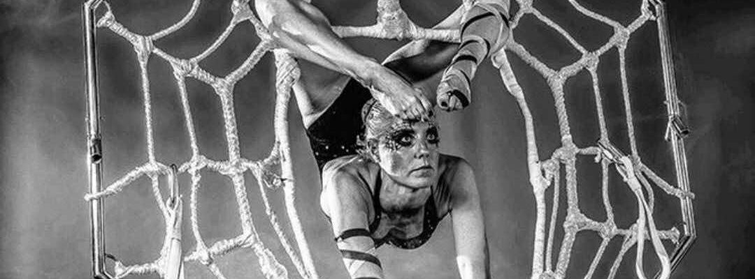 Spider-Aerial-Contortion-Performer Spider-Aerial-Contortion-Performer