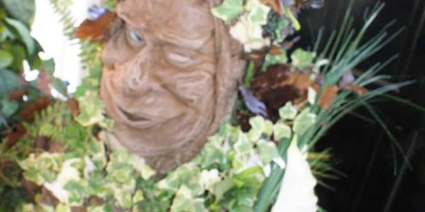 Storytelling-Tree-Performer-Hire