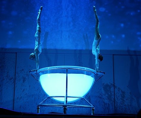 Swimming-Bowl-Show