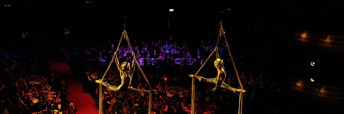 The-Acrobatic-Golden-Silks The-Acrobatic-Golden-Silks