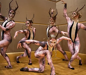 The-Animal-Kingdom-Dance-Show