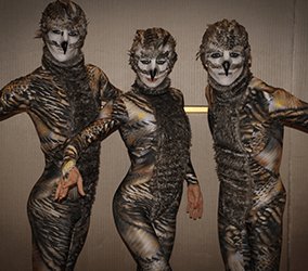 The-Animal-Kingdom-Group
