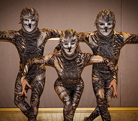 The-Animal-Kingdom-Show