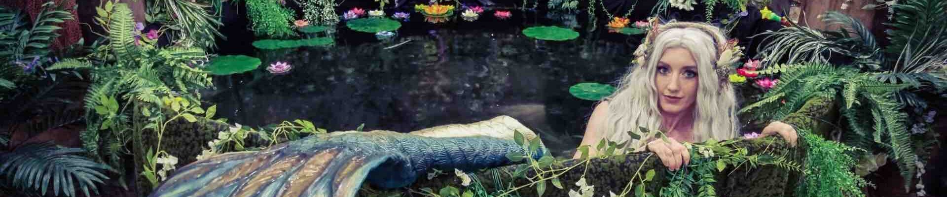 Themed-Mermaid-Performance-In-Pool Themed-Mermaid-Performance-In-Pool