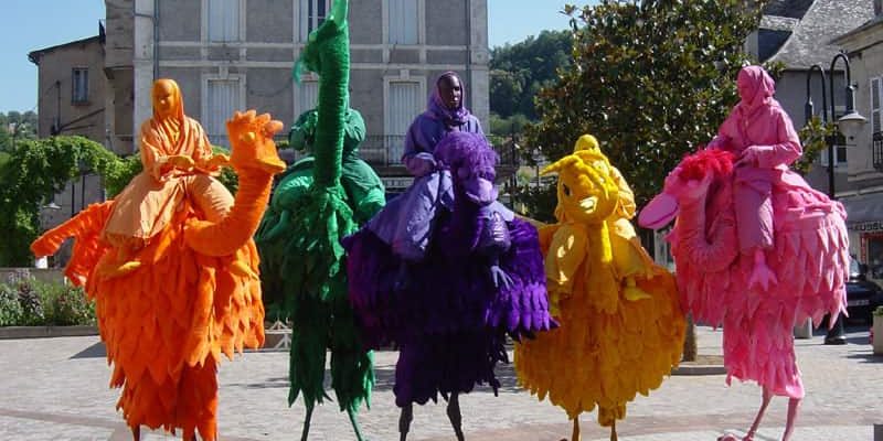 Tropical-Bird-Stilt-Walkers Tropical-Bird-Stilt-Walkers