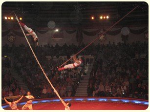 Flying Poles Acrobatic Show for hire. Our acrobats are available to book for corporate events in the UK & London.