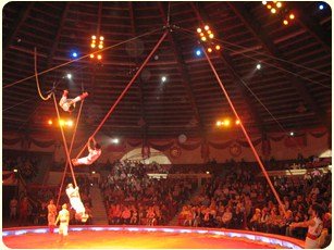 Flying Poles Acrobatic Shows for hire. Book our Chinese acrobats for gala dinners, corporate events or product launches in London & the UK.