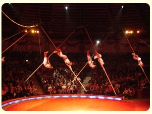 Flying Poles Acrobatic Show for hire. Book our Chinese acrobatics show for bespoke events in London & the UK.