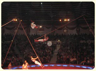 Acrobatic Show for hire. Our Flying Poles Acrobats are available to book for gala dinners in the UK & London.