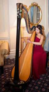 Harpist Parma 2