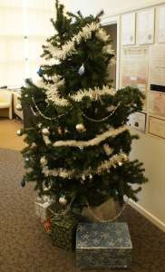 Human Christmas Tree 1