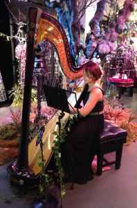 Harpist Parma 1