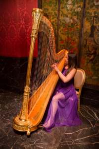 Harpist Parma 3
