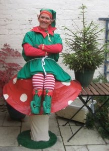 Festive Elf Entertainer 1
