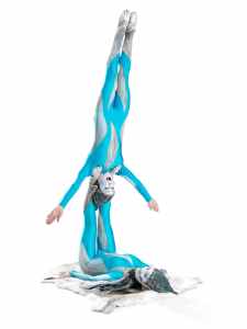 Acrobatic Icy Elves 2