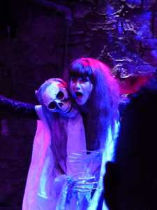 Hire Kate Bush lookalike, available to book in Yorkshire
