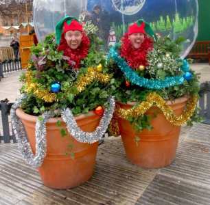 Holly & Ivy 1