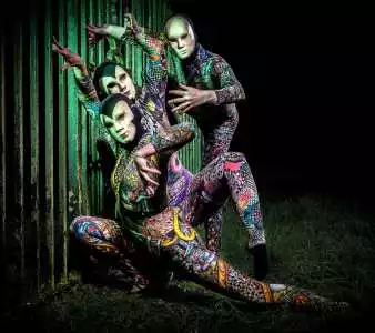 Harlequin Acrobats 3