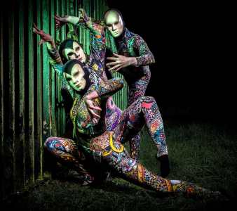 Harlequin Acrobats 3