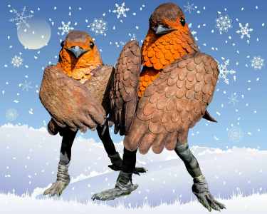 Crazy Birds 1