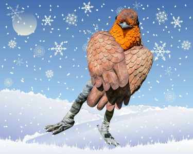 Crazy Birds 4