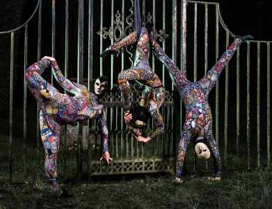 Harlequin Acrobats 2