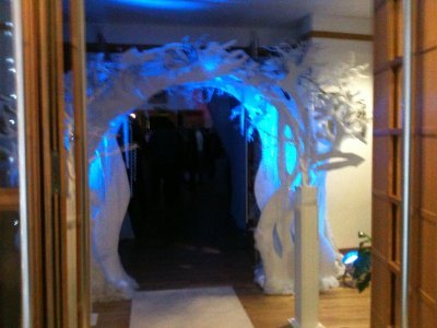 Christmas Winter Wonderland Arch 4