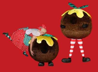 Christmas Pudding & Fairy 5