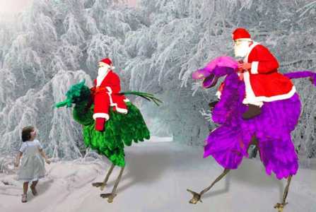 Santa Birds 1