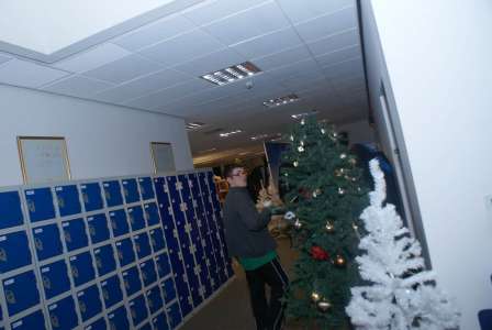 Human Christmas Tree 4