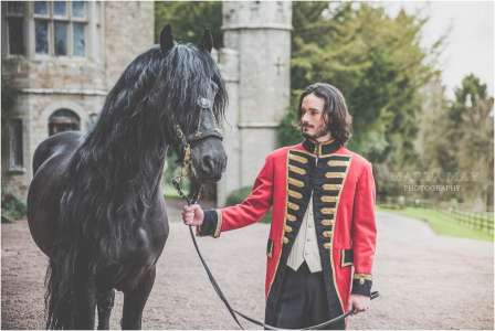 Hire horses for weddings, parties and family fun days. Our animals are available for hire in the UK.