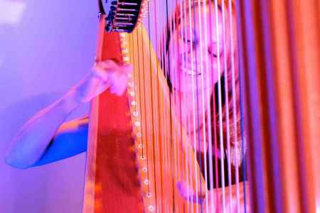 Our musician is available for hire for gala dinners in London & the UK.