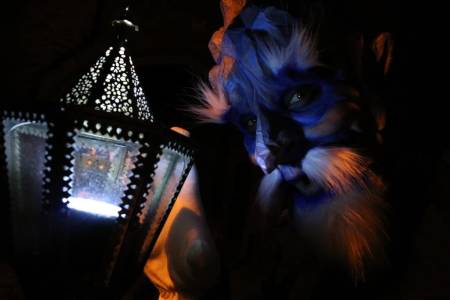 Jack Frost Walkabout Act 1