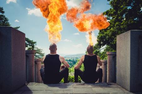 Talented gymnast duo available for hire