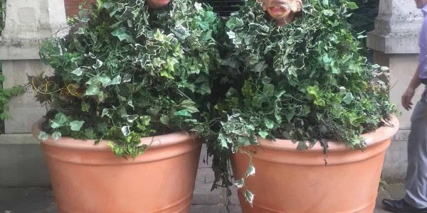 Botanical-Bush-Fairy-Performers