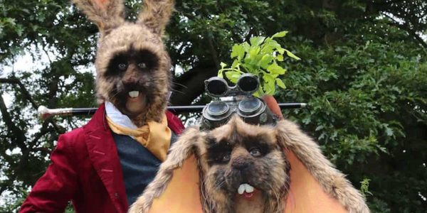 Bouncealot-Easter-Bunny-Stilt-Walkers