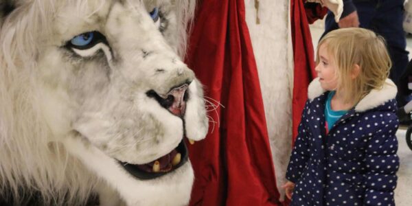 Child-Meeting-Snowy-Lion-Character