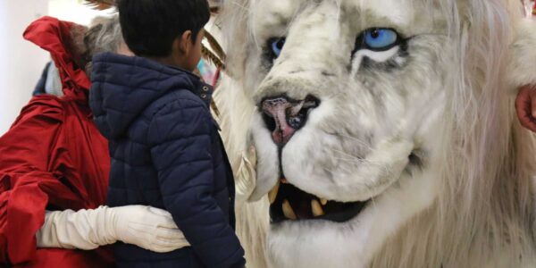 Childrens-Christmas-Meet-And-Greet-Entertainment