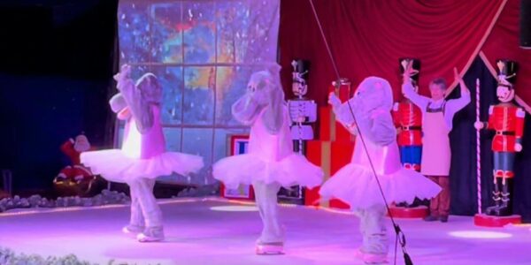Christmas-Themed-Ice-Skating-Production