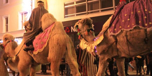 Newmarket-Christmas-Parade-Camels