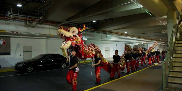 Southern-Dragon-Dancers
