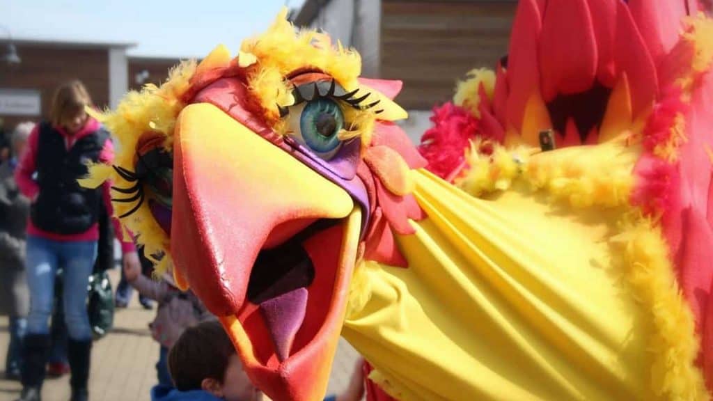 Yellow, orange and red squawk walkabout bird performing at an outdoor event.