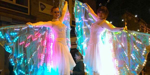The-Fluorescent-Butterflies