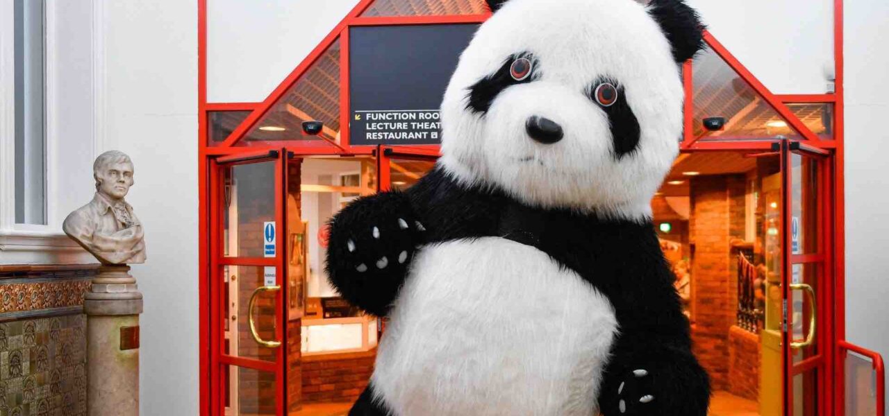 Walkabout-Chinese-Panda-Character