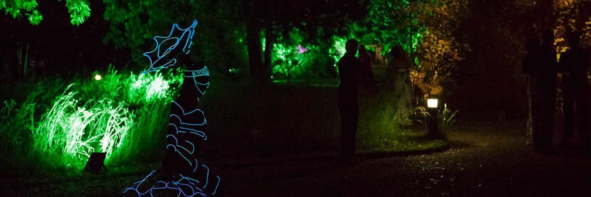 Blossom LED Butterfly for hire. Our LED walkabout act is available to book for brand activations in London & the UK. Blossom LED Butterfly for hire. Our LED walkabout act is available to book for brand activations in London & the UK.