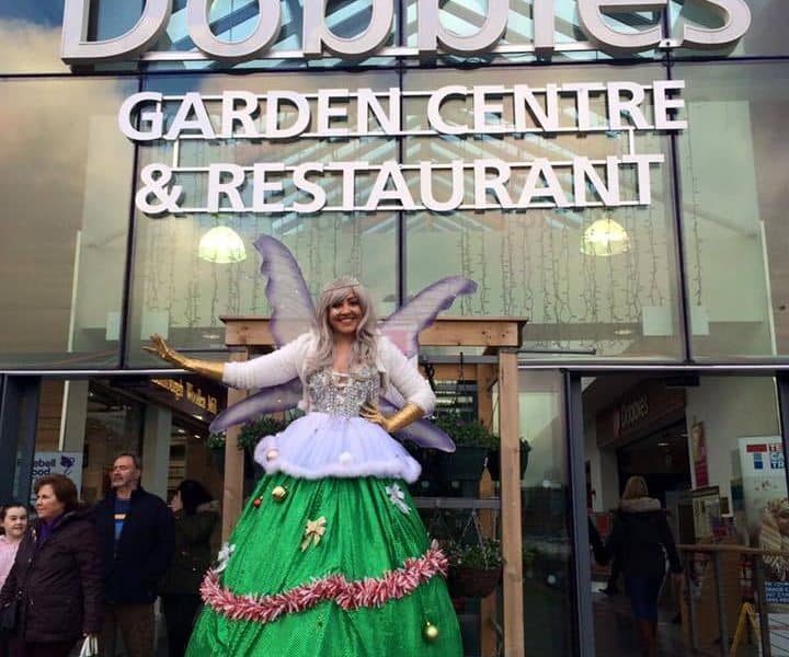 Christmas Tree Fairy 3