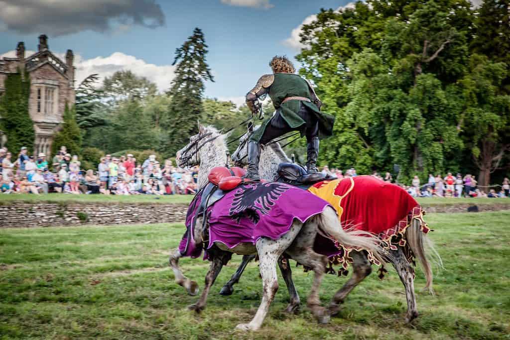 Medieval themed jousting shows for hire for family fun days, St George's Day events and more.