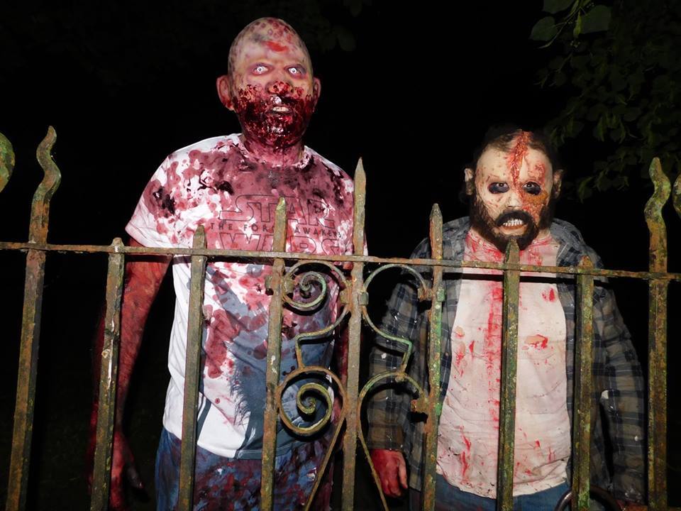 Book zombies for events in the UK here.